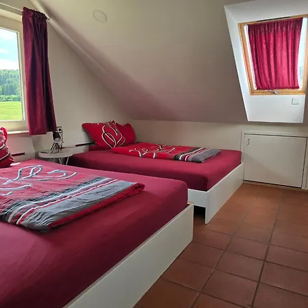 Apartamento 'tor Zum Schwarzwald' Mit Sauna *