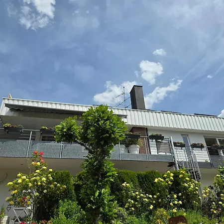 'tor Zum Schwarzwald' Mit Sauna Apartamento